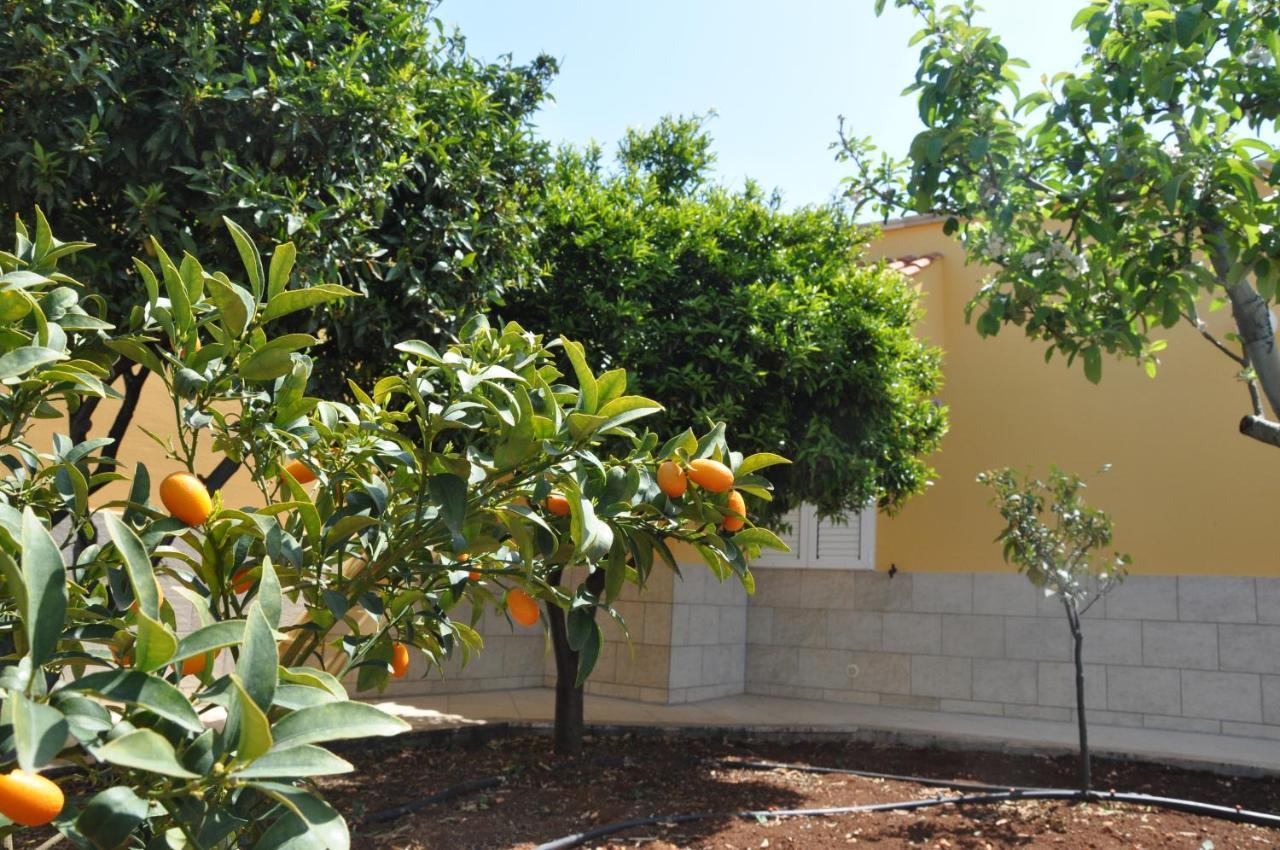 Dimora Dell'Ulivo Villa Polignano a Mare Exterior foto